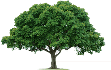 продажа франшиз лучшие франшизы